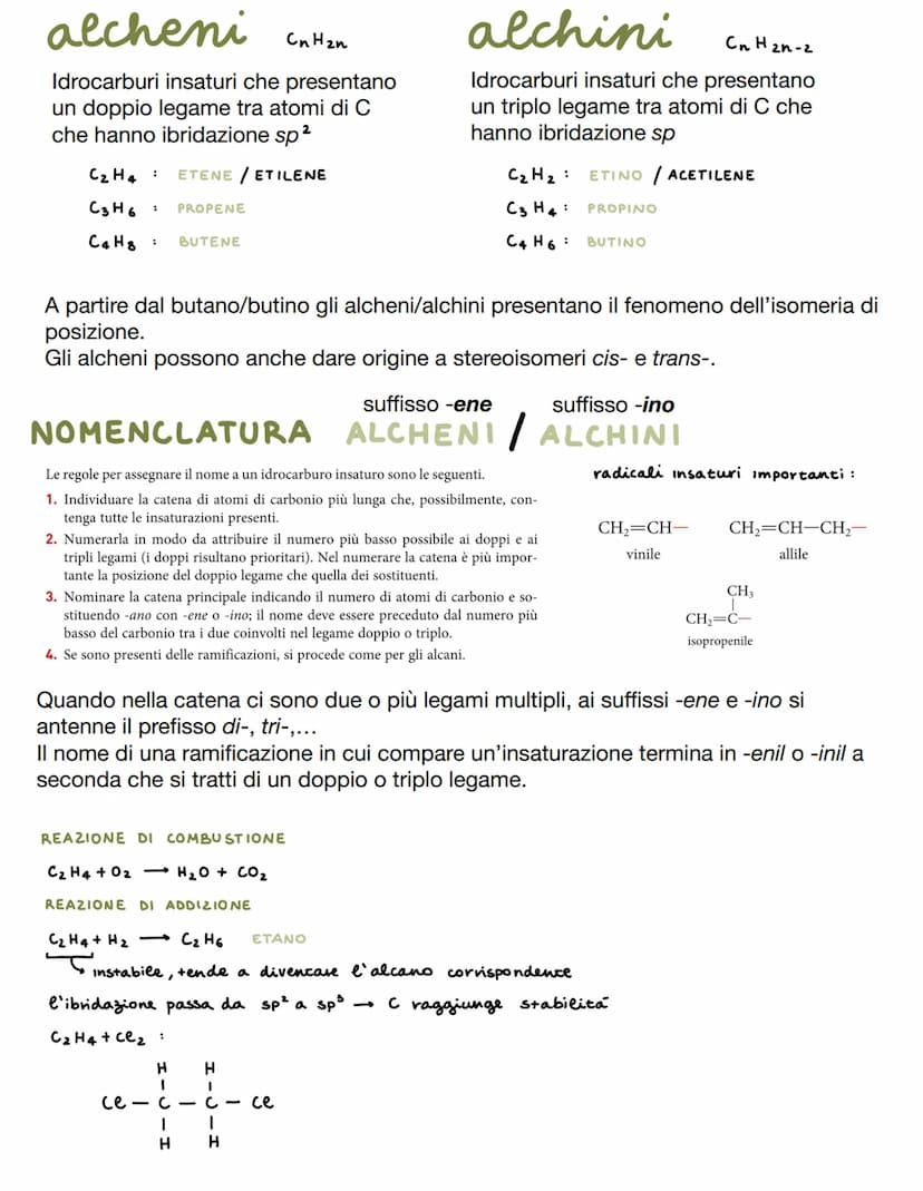 CHIMICA ORGANICA
Si occupa di indagare la composizione e l'organizzazione della materia vivente.
Tutti i componenti contenenti carbonio sono