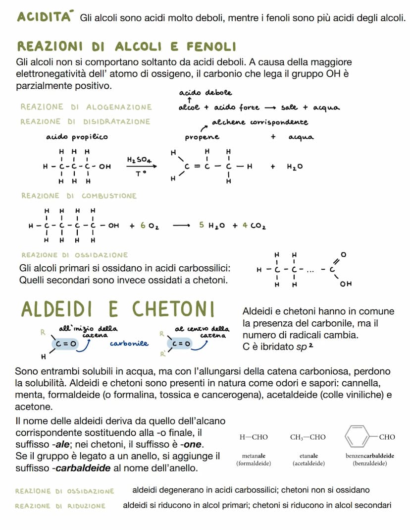 CHIMICA ORGANICA
Si occupa di indagare la composizione e l'organizzazione della materia vivente.
Tutti i componenti contenenti carbonio sono