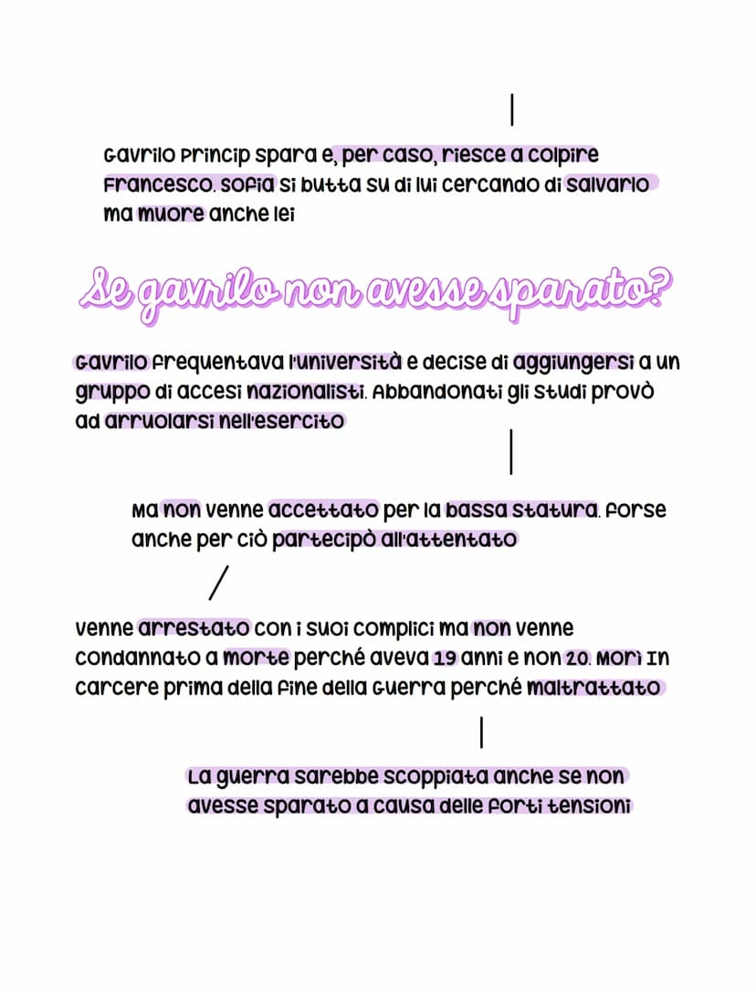 causa politica
Alla vigilia della guerra i rapporti tra gli Stati europei
erano tesi. I contrasti politici riguardavano dei territori
contes