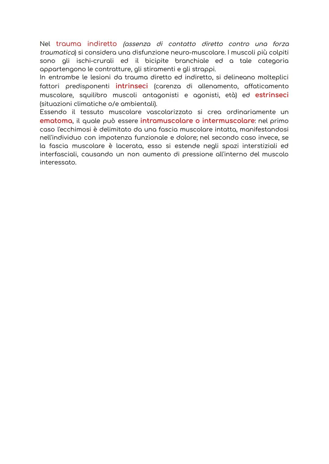 IL SISTEMA MUSCOLARE
Il sistema muscolare è l'insieme di tutti i muscoli, ovvero degli organi attivi del
movimento; essi sviluppano una forz