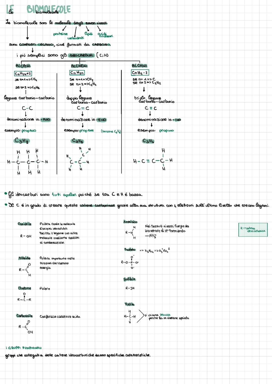 le biomolecole 