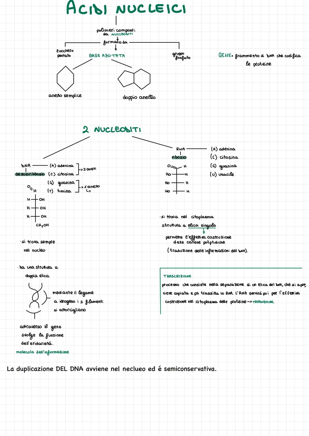 LE BIOMOLECOLE
omolecole
Le biomolecole sono le molecole degli esseri viventi
1
1
proteine
Apidi acidi
nucleari
carboidrati
Sono COMPOSTI OR