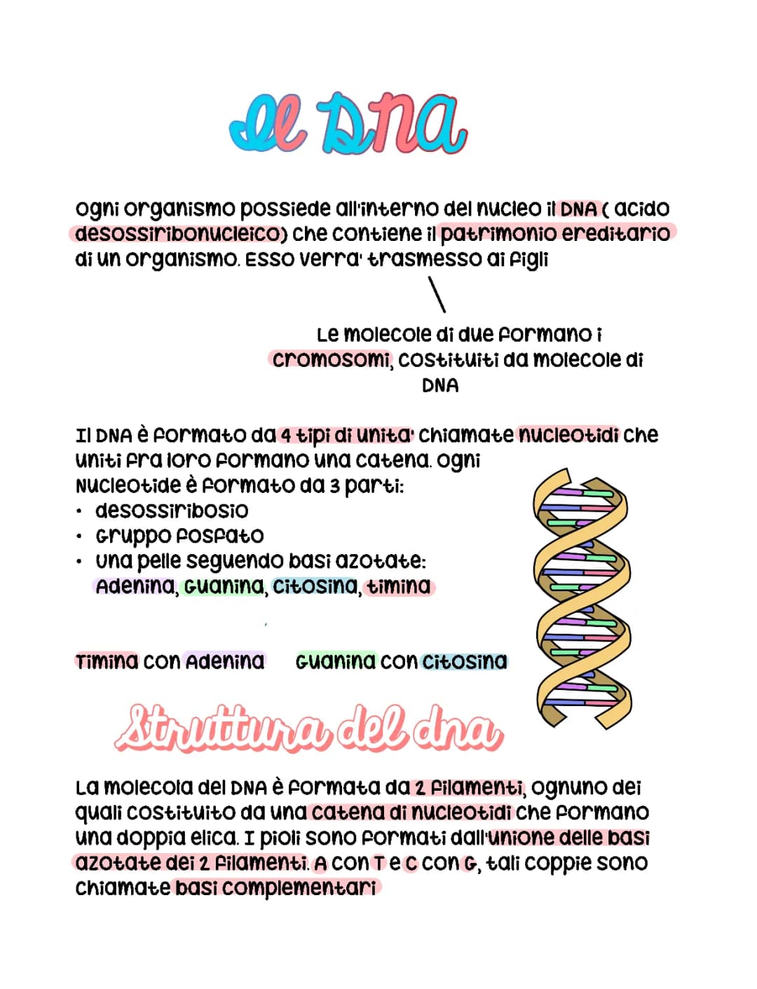 DNA e le Mutazioni 