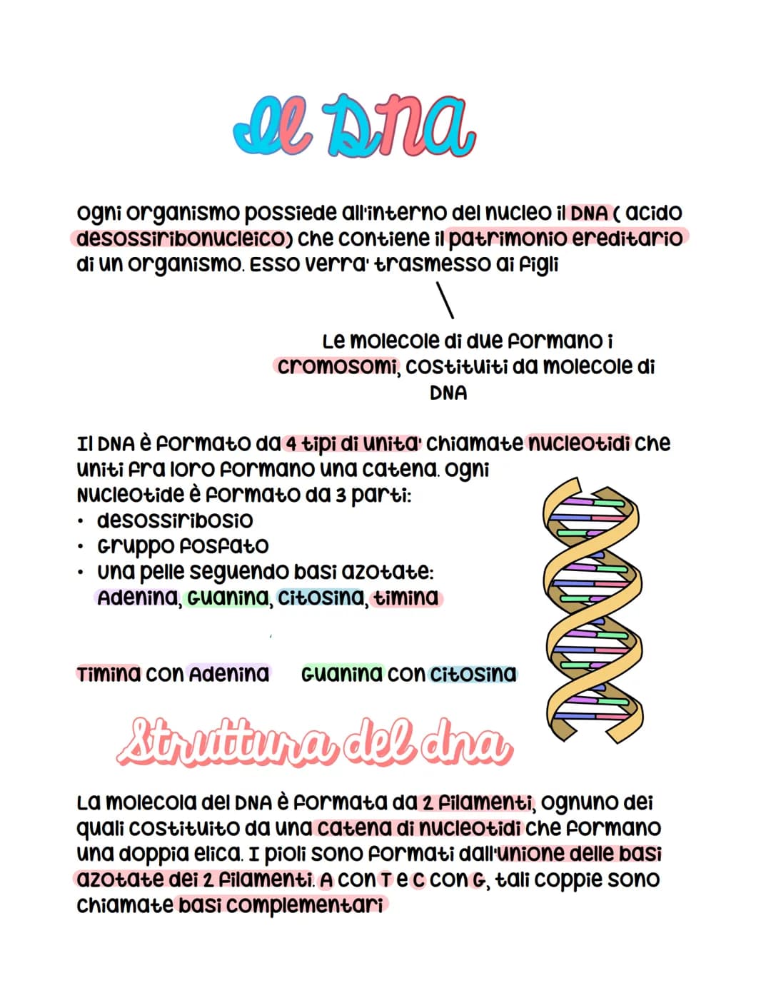 apna
ogni organismo possiede all'interno del nucleo il DNA (acido
desossiribonucleico) che contiene il patrimonio ereditario
di un organismo