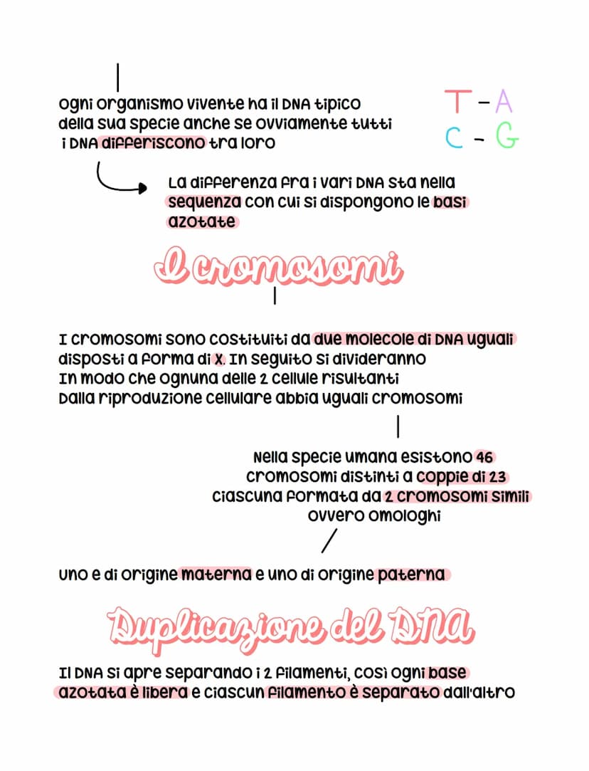 apna
ogni organismo possiede all'interno del nucleo il DNA (acido
desossiribonucleico) che contiene il patrimonio ereditario
di un organismo