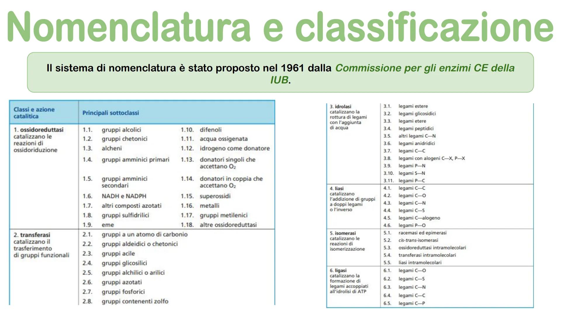 Gli enzimi # Cosa sono gli enzimi?

Gli enzimi sono catalizzatori biologici di origine proteica la cui funzione è quella di
velocizzare le r