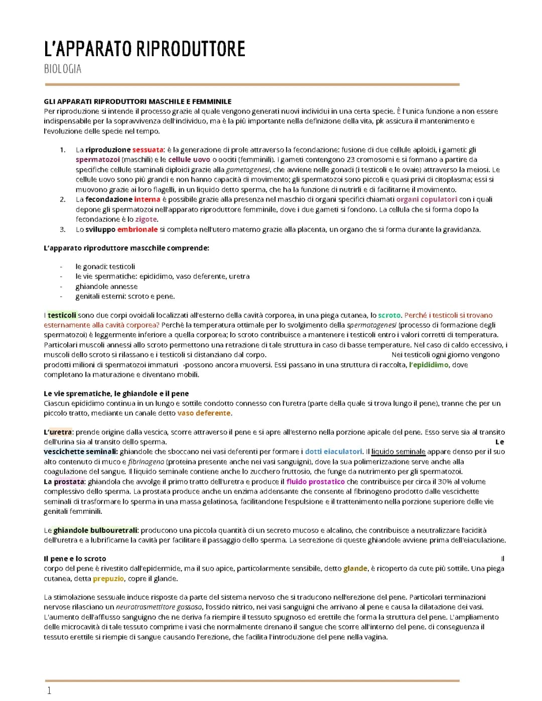 L’apparato riproduttore