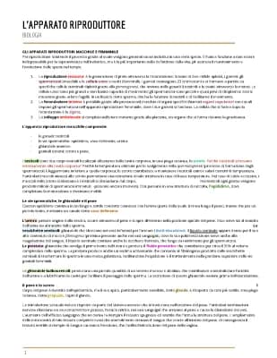 Know L’apparato riproduttore thumbnail