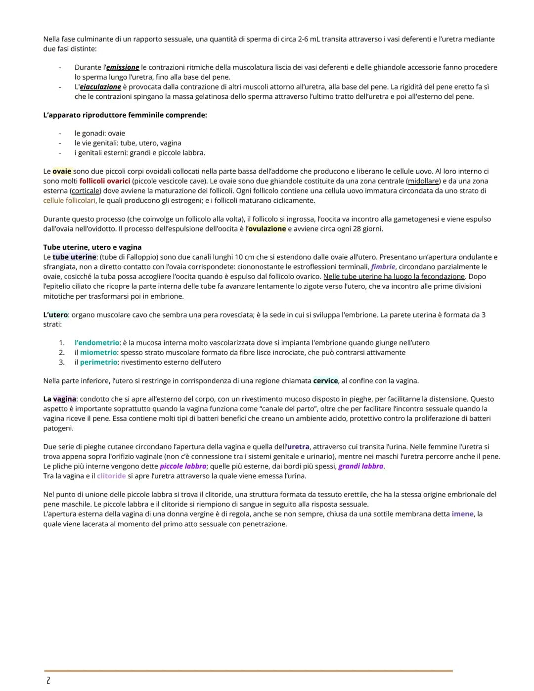 L'APPARATO RIPRODUTTORE
BIOLOGIA
GLI APPARATI RIPRODUTTORI MASCHILE E FEMMINILE
Per riproduzione si intende il processo grazie al quale veng
