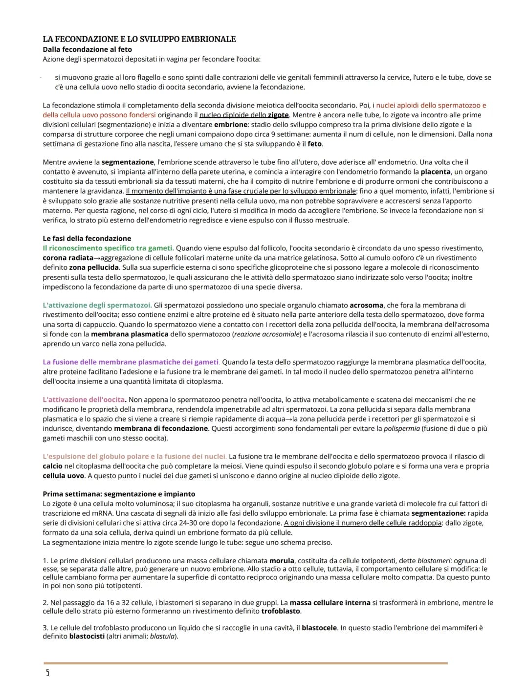 L'APPARATO RIPRODUTTORE
BIOLOGIA
GLI APPARATI RIPRODUTTORI MASCHILE E FEMMINILE
Per riproduzione si intende il processo grazie al quale veng