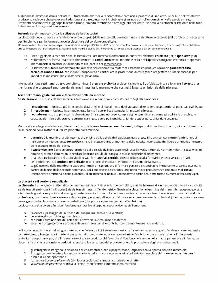 L'APPARATO RIPRODUTTORE
BIOLOGIA
GLI APPARATI RIPRODUTTORI MASCHILE E FEMMINILE
Per riproduzione si intende il processo grazie al quale veng