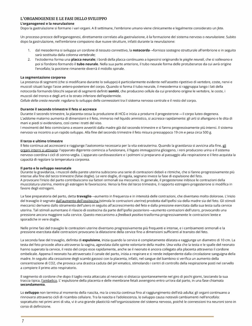 L'APPARATO RIPRODUTTORE
BIOLOGIA
GLI APPARATI RIPRODUTTORI MASCHILE E FEMMINILE
Per riproduzione si intende il processo grazie al quale veng