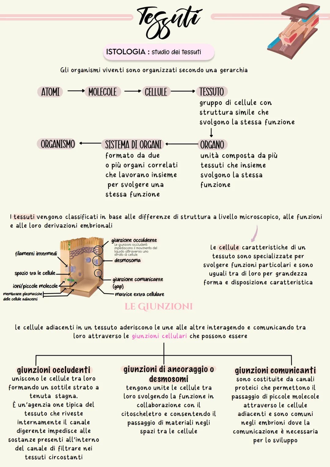 ATOMI
ORGANISMO
filamenti intermedi
spazio tra le cellule.
ioni/piccole molecole-
Gli organismi viventi sono organizzati secondo una gerarch