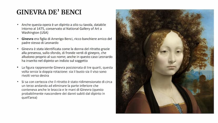 A
bontpop. Sigm
LEONARDO DA VINCI
I ritratti femminili di Leonardo
ret-porting
Gimi
wHin aportante r
Frontpops HNDICE 1. Le caratteristiche 