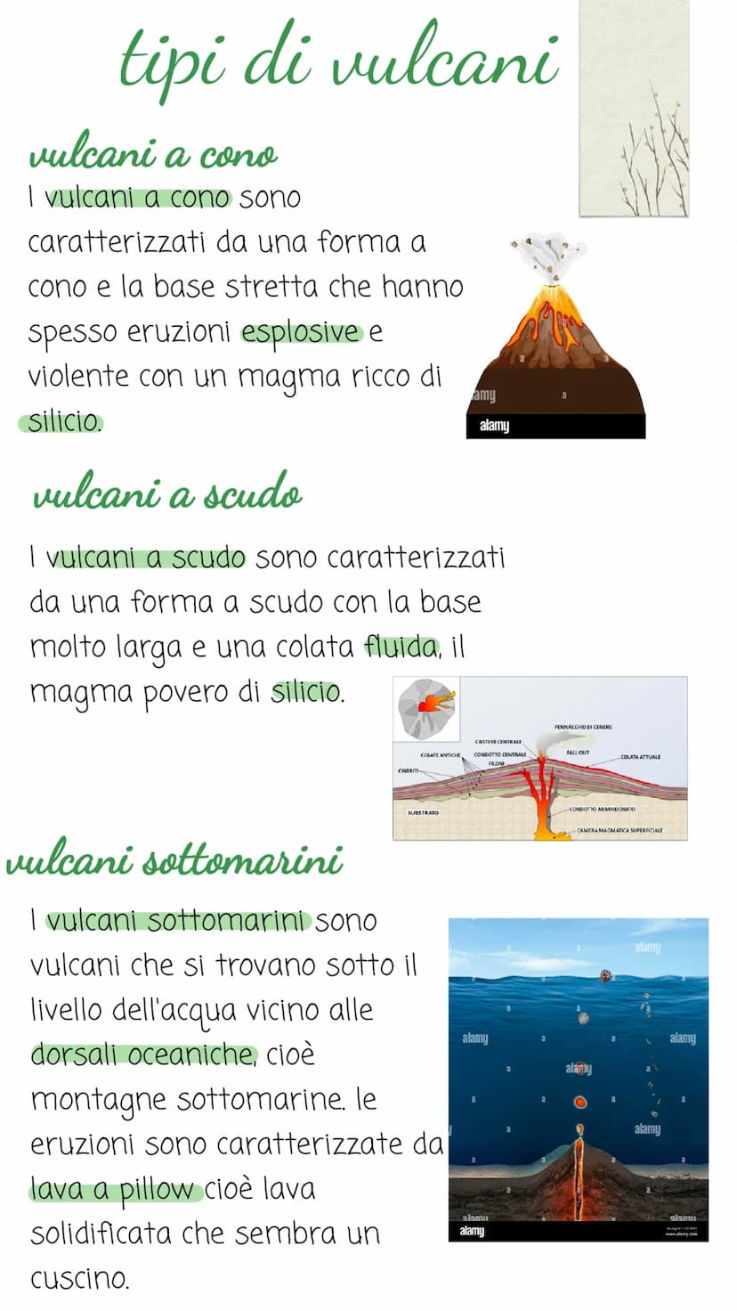 i vulcare
I vulcani sono fratture della crosta
terrestre che contengono magma
incandescente che risale attraverso le
eruzioni vulcaniche.
Bo