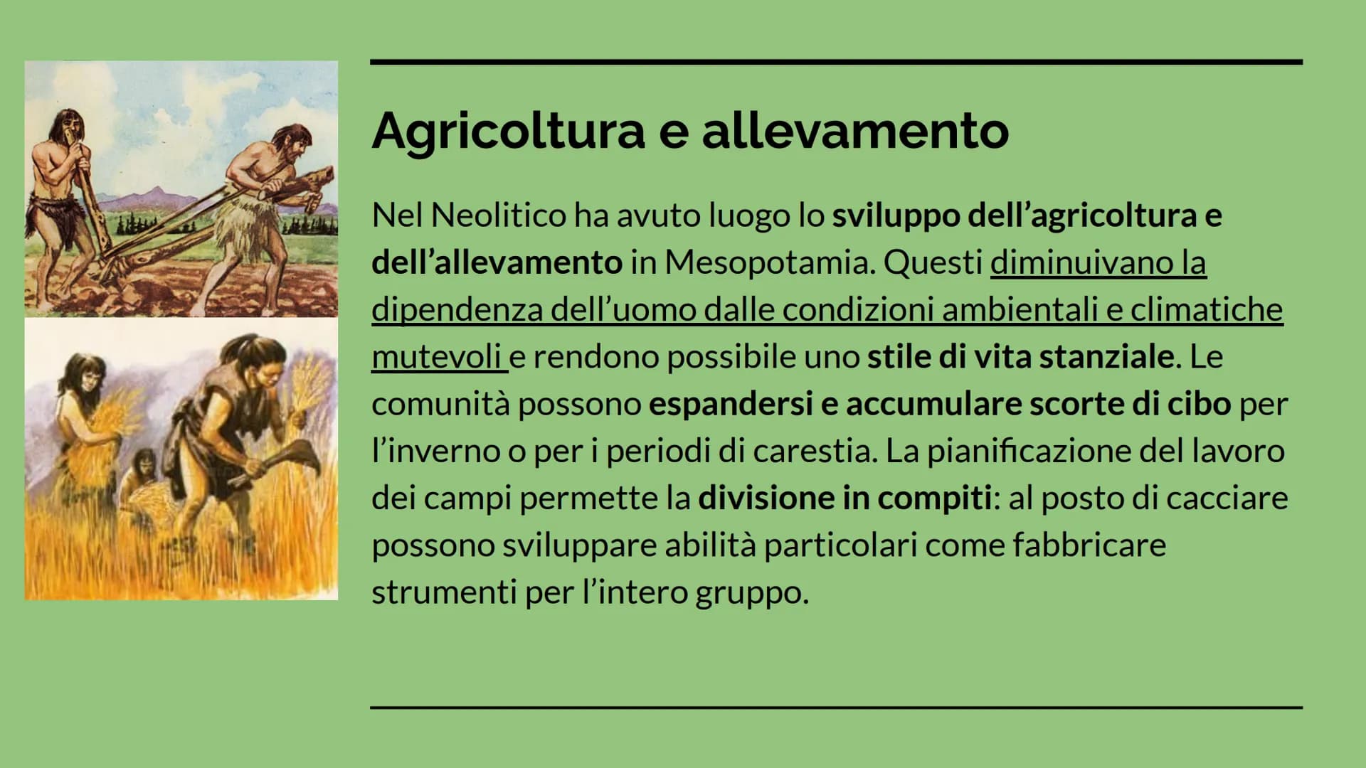 LA PREISTORIA
Storia dell'arte Lineamenti storici
La Preistoria è il periodo della storia umana che precede
l'avvento della scrittura. Inizi