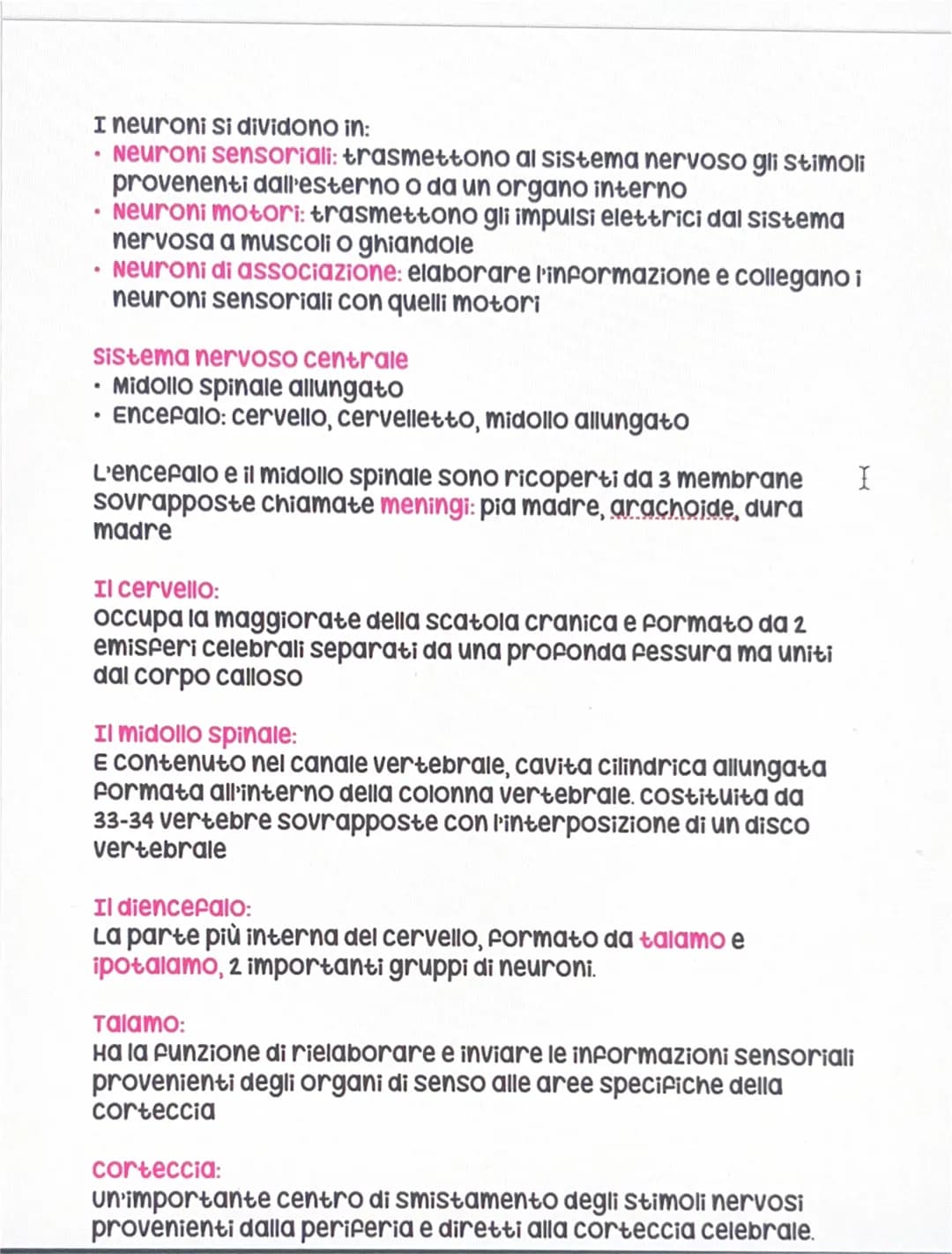 Il sistema nervoso
Sistema nervoso centrale
Encefalo
• Midollo spinale
●
sistema nervoso periferico
• Nervi
volontario
Autonomo
Il Sistema n