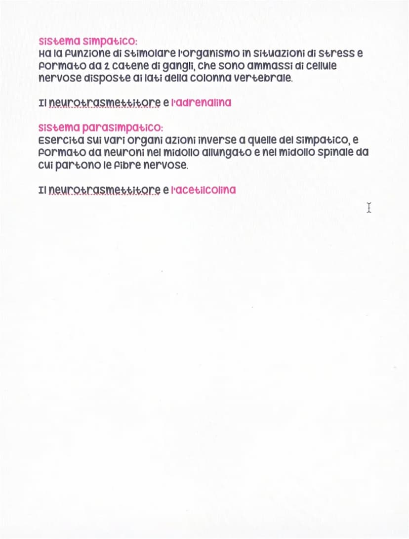Il sistema nervoso
Sistema nervoso centrale
Encefalo
• Midollo spinale
●
sistema nervoso periferico
• Nervi
volontario
Autonomo
Il Sistema n