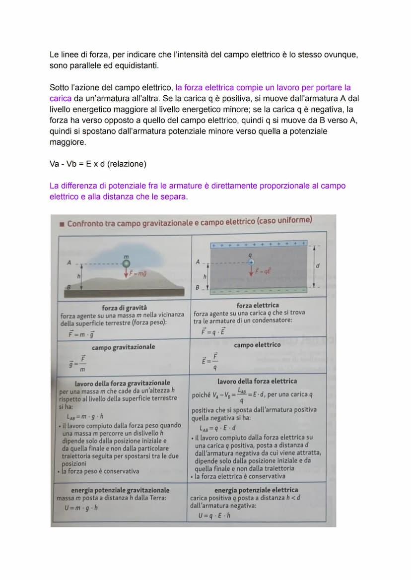 I fenomeni elettrostatici
Fin dall'antichità si è notato che un oggetto di Ambra strofinato su un tessuto
attirasse altri corpi leggeri. La 
