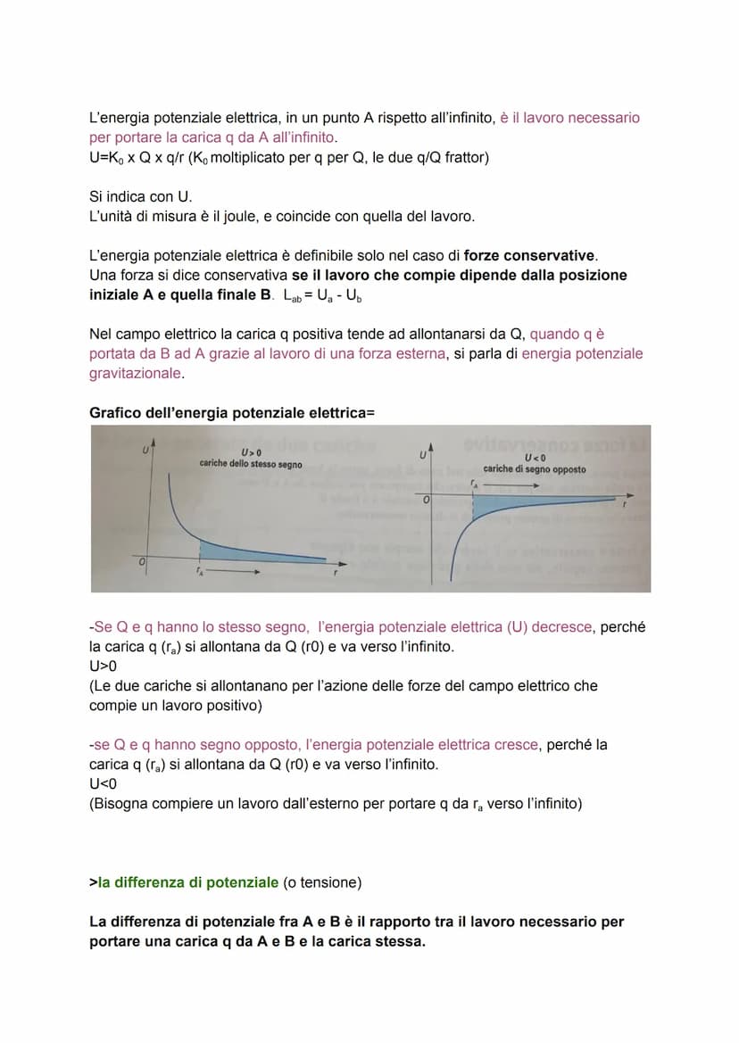 I fenomeni elettrostatici
Fin dall'antichità si è notato che un oggetto di Ambra strofinato su un tessuto
attirasse altri corpi leggeri. La 