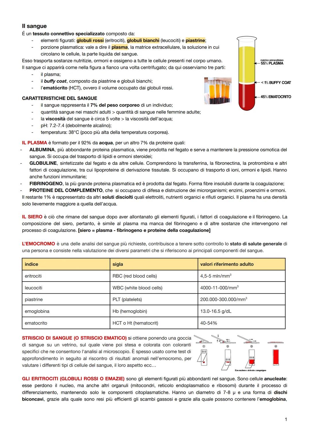 Il sangue
É un tessuto connettivo specializzato composto da:
elementi figurati: globuli rossi (eritrociti), globuli bianchi (leucociti) e pi