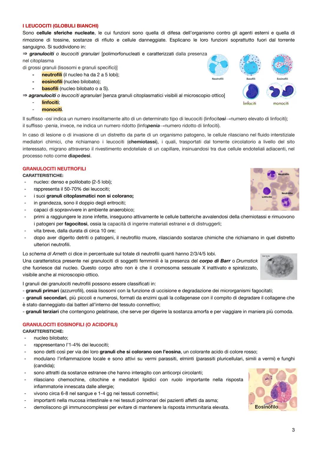 Il sangue
É un tessuto connettivo specializzato composto da:
elementi figurati: globuli rossi (eritrociti), globuli bianchi (leucociti) e pi