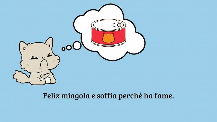 
<p>Che cos'è il periodo?<br />
Il periodo è l'insieme di due o più frasi semplici collegate tra loro, formando così una struttura più compl