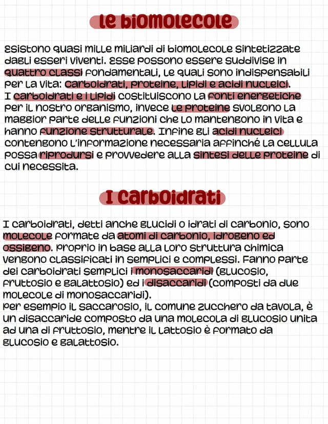 Know LE BIOMOLECOLE  thumbnail