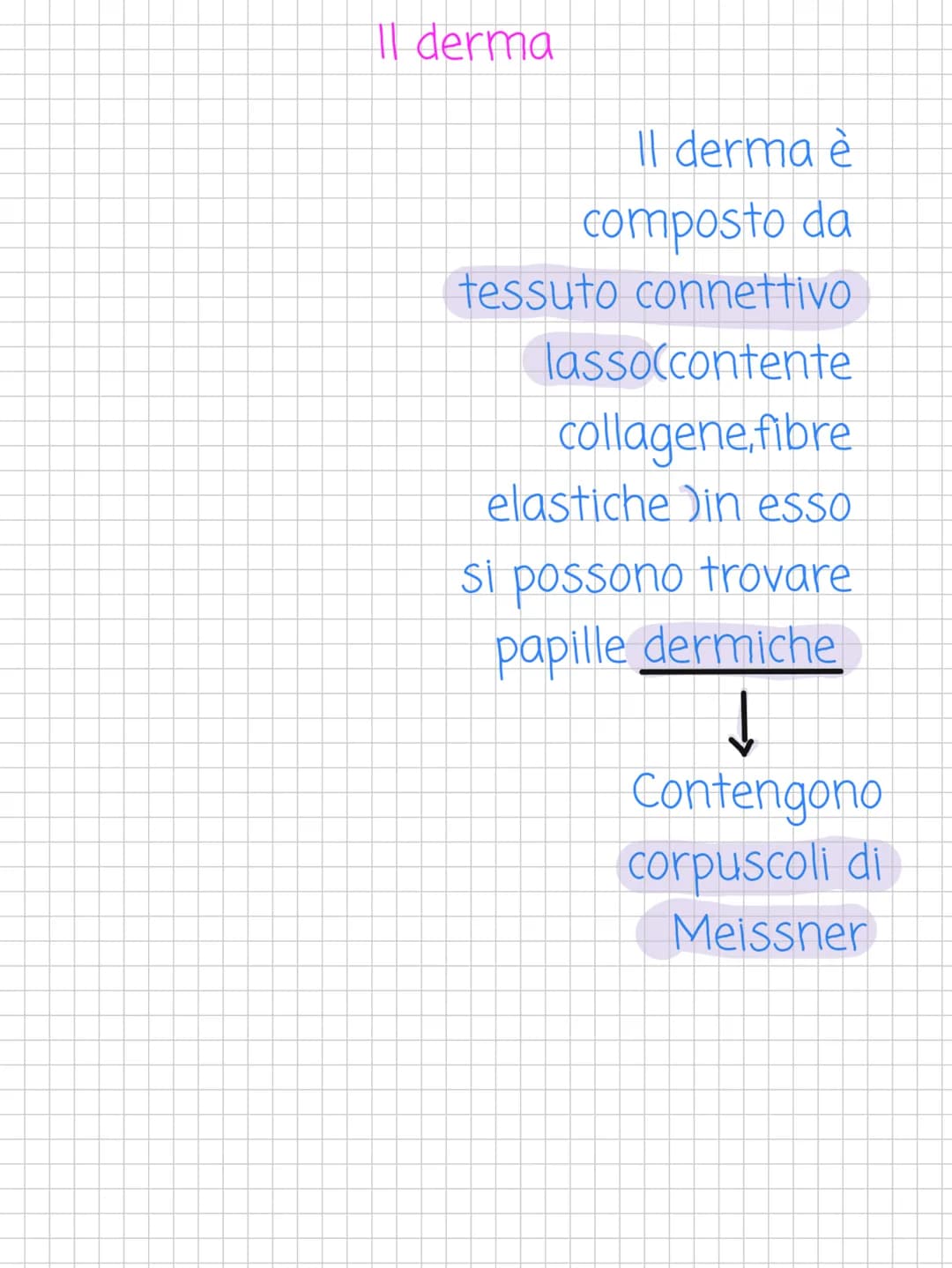 Scienze! L'apparato tegumentario
L'apparato tegumentario è
l'apparato che si occupa della pelle
(cutele i suoi annessi cutanei
↓
Altro nome 