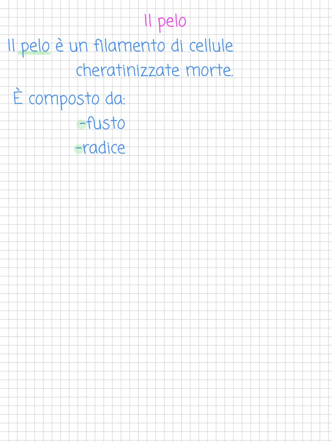 Scienze! L'apparato tegumentario
L'apparato tegumentario è
l'apparato che si occupa della pelle
(cutele i suoi annessi cutanei
↓
Altro nome 