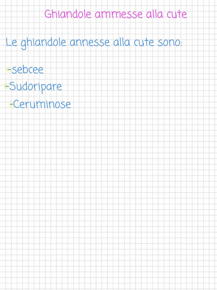 Scienze! L'apparato tegumentario
L'apparato tegumentario è
l'apparato che si occupa della pelle
(cutele i suoi annessi cutanei
↓
Altro nome 
