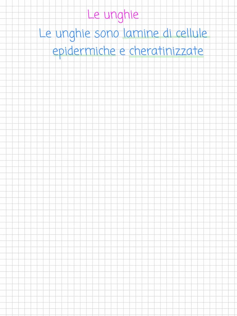 Scienze! L'apparato tegumentario
L'apparato tegumentario è
l'apparato che si occupa della pelle
(cutele i suoi annessi cutanei
↓
Altro nome 