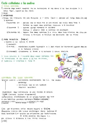 Know MITOSI E MEIOSI (+ ciclo cellulare e replicazione DNA) thumbnail