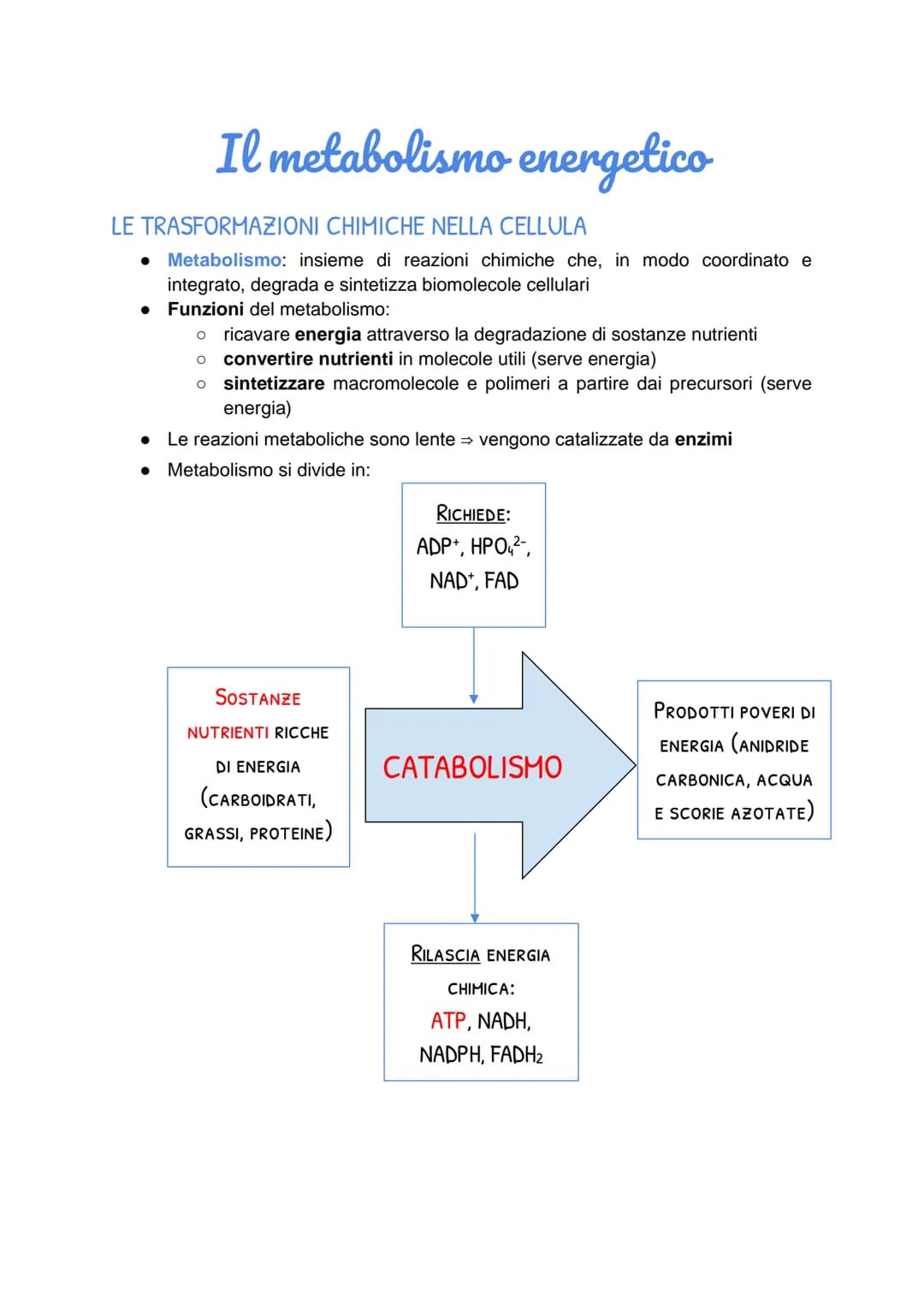 Il metabolismo energetico
LE TRASFORMAZIONI CHIMICHE NELLA CELLULA
• Metabolismo: insieme di reazioni chimiche che, in modo coordinato e
int