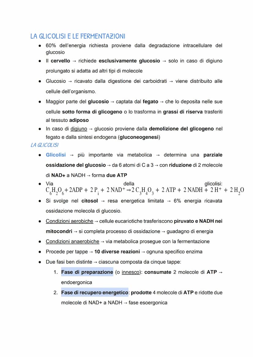 Il metabolismo energetico
LE TRASFORMAZIONI CHIMICHE NELLA CELLULA
• Metabolismo: insieme di reazioni chimiche che, in modo coordinato e
int