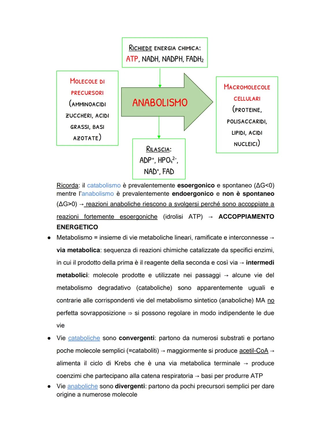 Il metabolismo energetico
LE TRASFORMAZIONI CHIMICHE NELLA CELLULA
• Metabolismo: insieme di reazioni chimiche che, in modo coordinato e
int