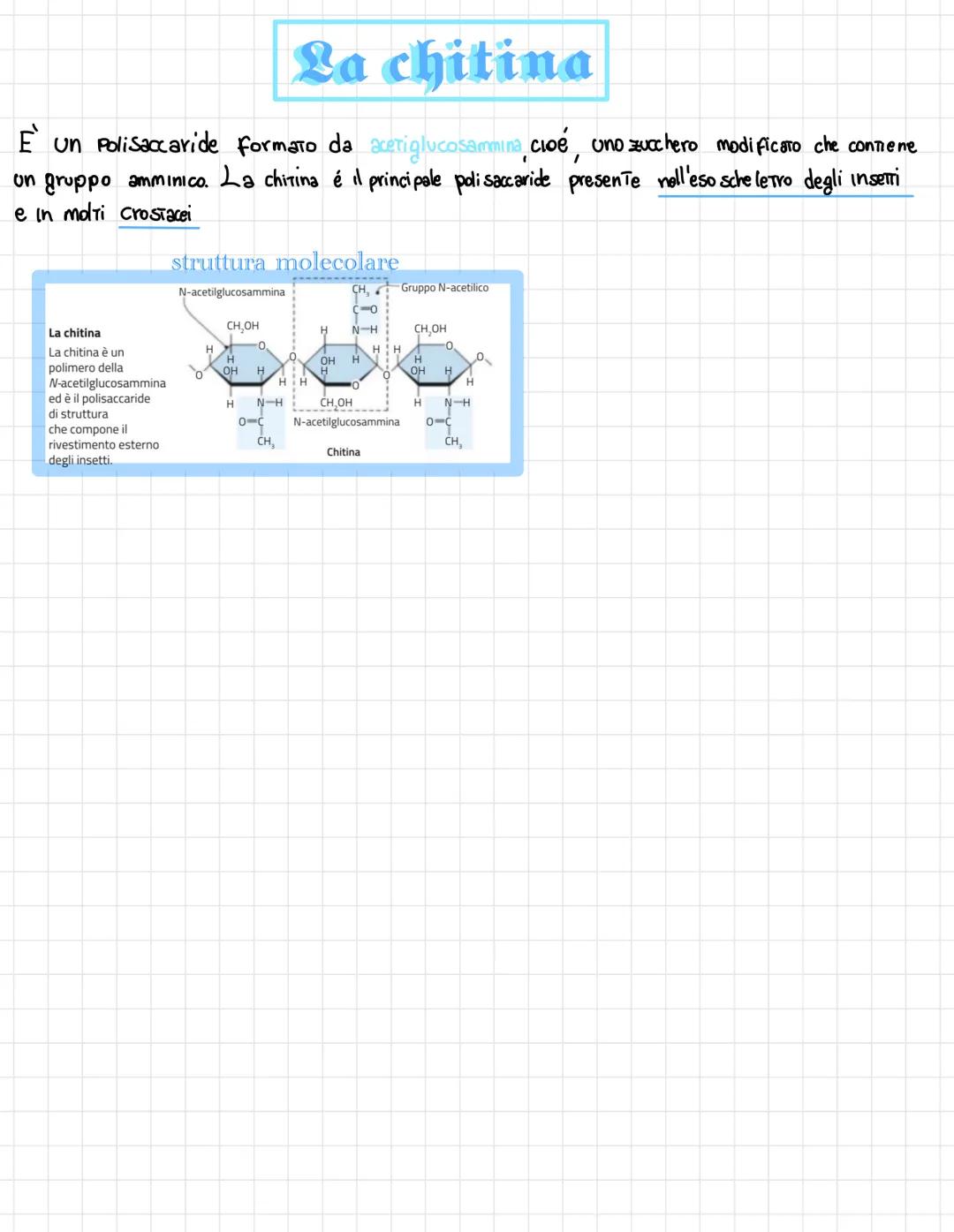  •si trovano negli esseri viventi
↑
biomolecole → carameristica principale = composti organici, cioè composti del carbonio,
• sono 4 → prote