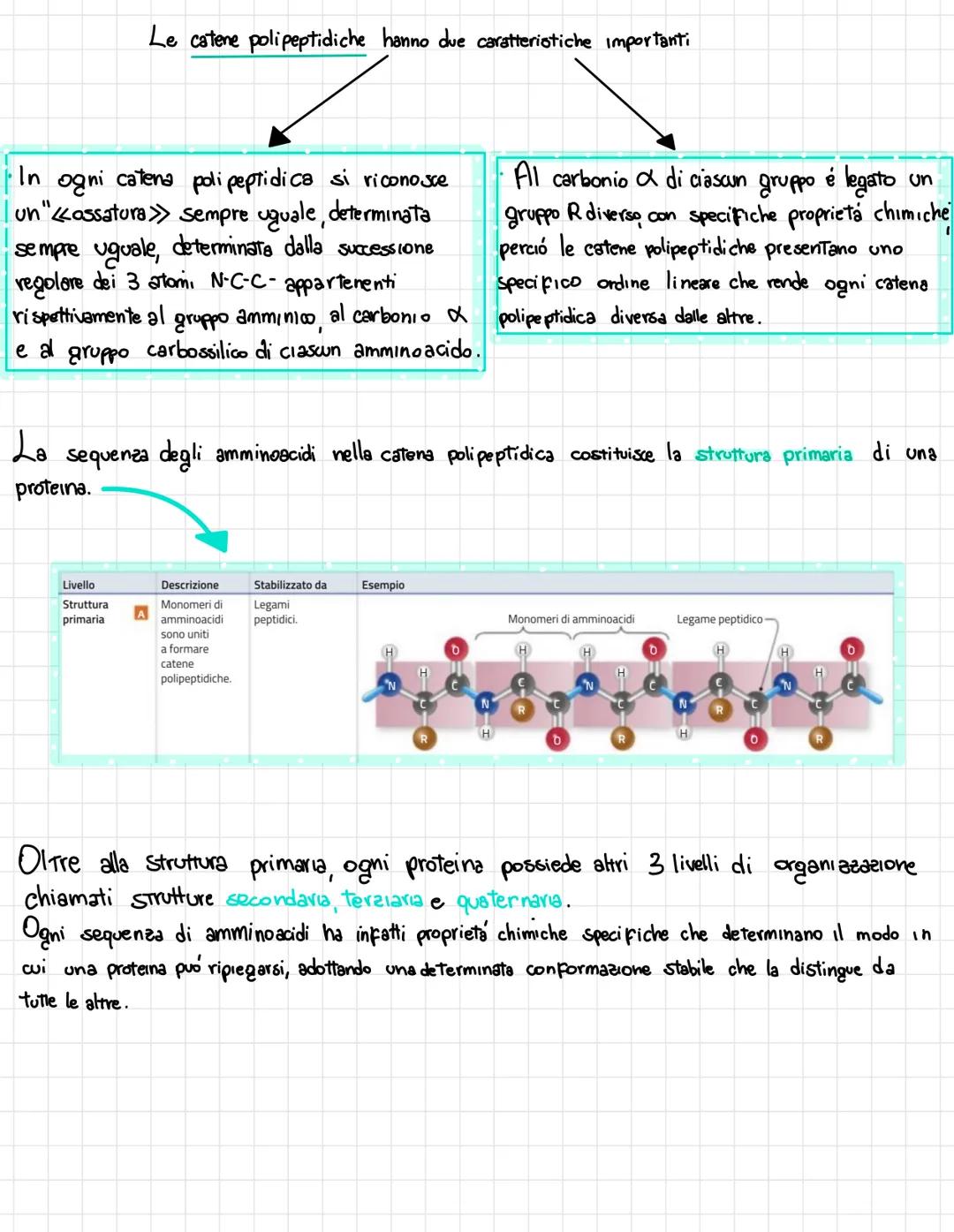  •si trovano negli esseri viventi
↑
biomolecole → carameristica principale = composti organici, cioè composti del carbonio,
• sono 4 → prote