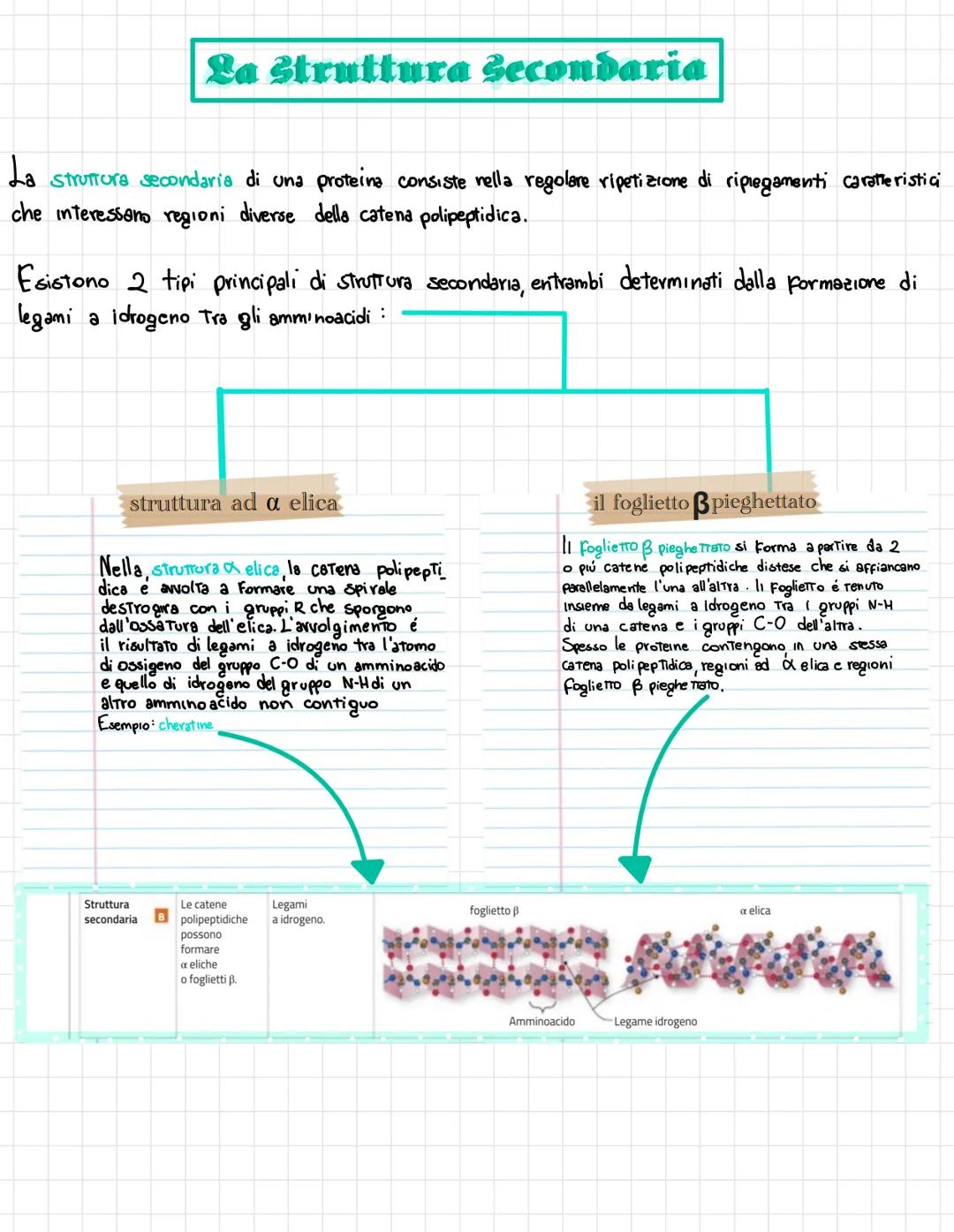  •si trovano negli esseri viventi
↑
biomolecole → carameristica principale = composti organici, cioè composti del carbonio,
• sono 4 → prote