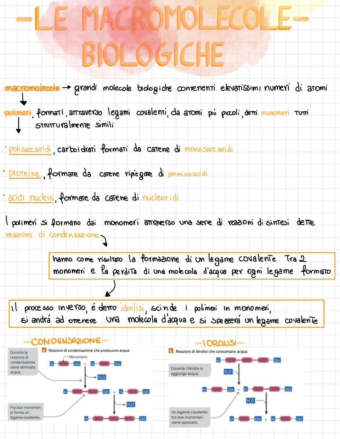  •si trovano negli esseri viventi
↑
biomolecole → carameristica principale = composti organici, cioè composti del carbonio,
• sono 4 → prote