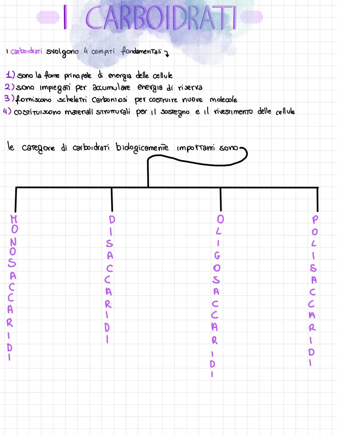  •si trovano negli esseri viventi
↑
biomolecole → carameristica principale = composti organici, cioè composti del carbonio,
• sono 4 → prote