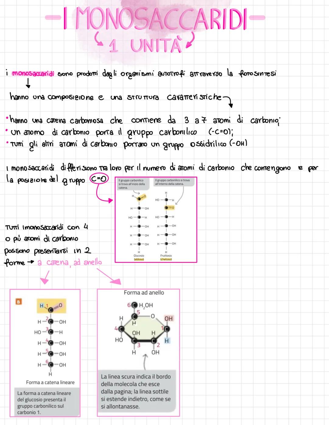  •si trovano negli esseri viventi
↑
biomolecole → carameristica principale = composti organici, cioè composti del carbonio,
• sono 4 → prote