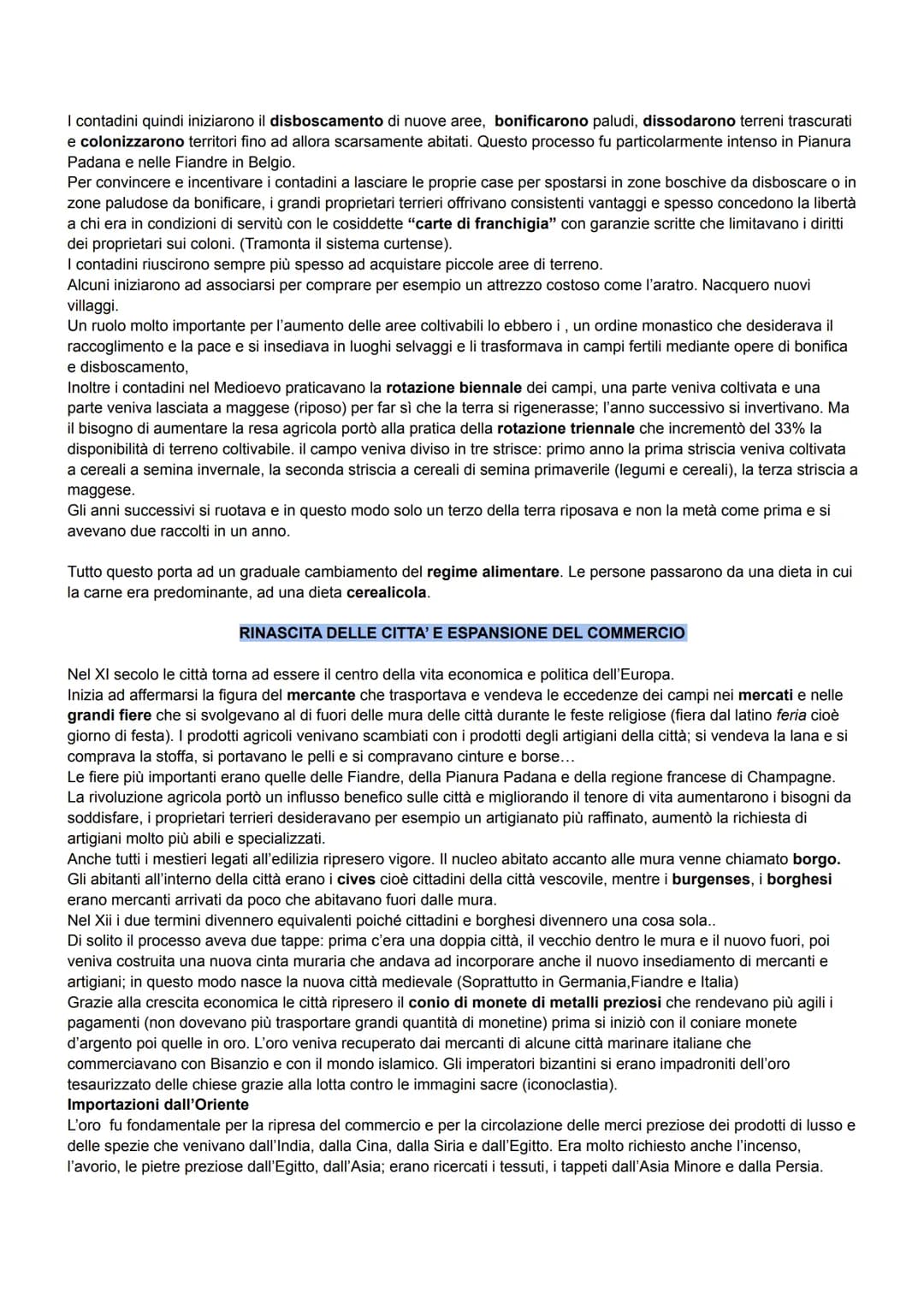 Scopri la Rinascita dell'Anno Mille e la Rivoluzione Agricola!