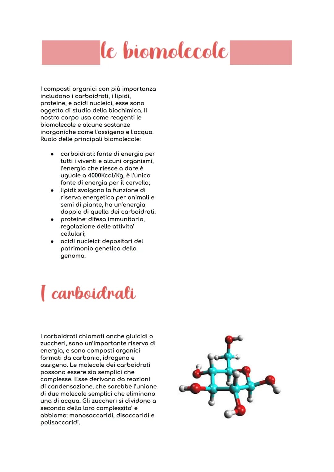 le biomolecole
I composti organici con più importanza
includono i carboidrati, i lipidi,
proteine, e acidi nucleici, esse sono
oggetto di st