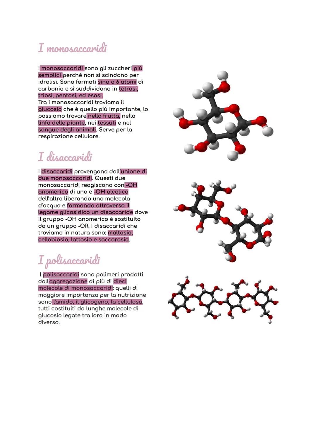 le biomolecole
I composti organici con più importanza
includono i carboidrati, i lipidi,
proteine, e acidi nucleici, esse sono
oggetto di st