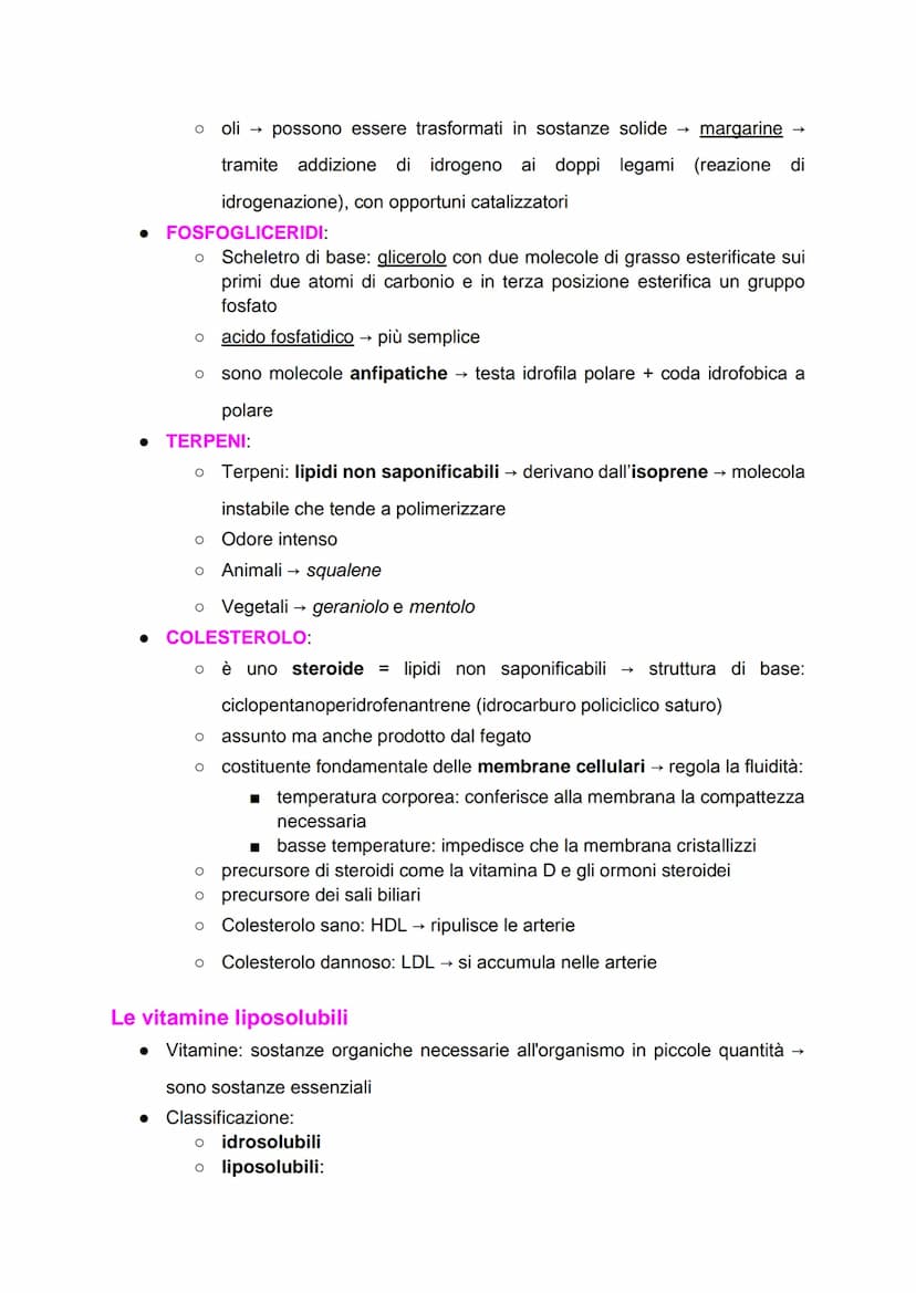 Introduzione
• Biomolecole: molecole che svolgono un ruolo nei sistemi biologici
Caratteristiche:
● Biochimica → studio delle biomolecole
●
