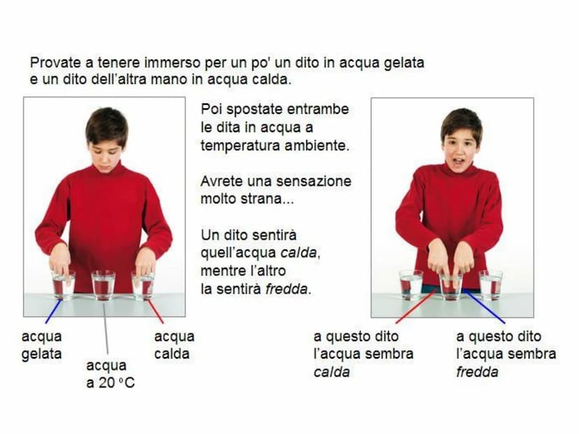 PP
...........................
Il Calore
e
la Temperatura PP
...........................
Il Calore
e
la Temperatura Che differenza c'è tra u