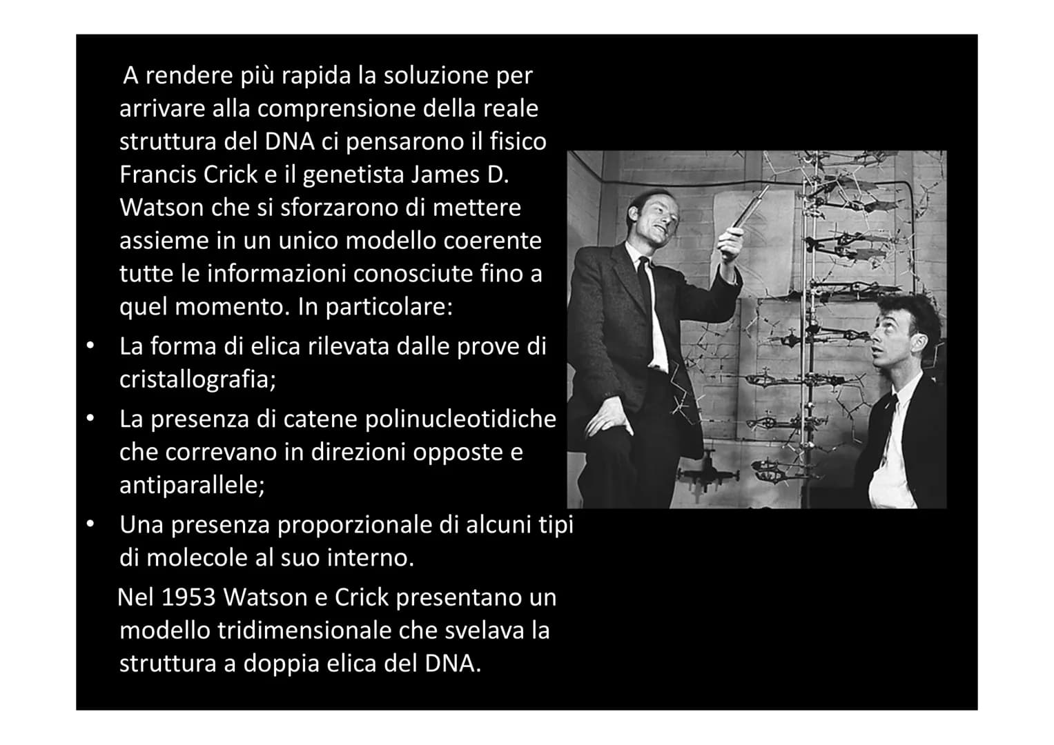 IL DNA
e
IL LINGUAGGIO DELLA VITA
H-C
V
aderne
N
deoxyribose
quanine O
The CO₂H
La biologia moderna ha avuto origine con la
scoperta della s