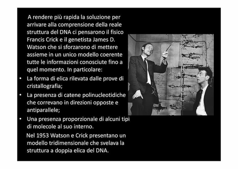 IL DNA
e
IL LINGUAGGIO DELLA VITA
H-C
V
aderne
N
deoxyribose
quanine O
The CO₂H
La biologia moderna ha avuto origine con la
scoperta della s