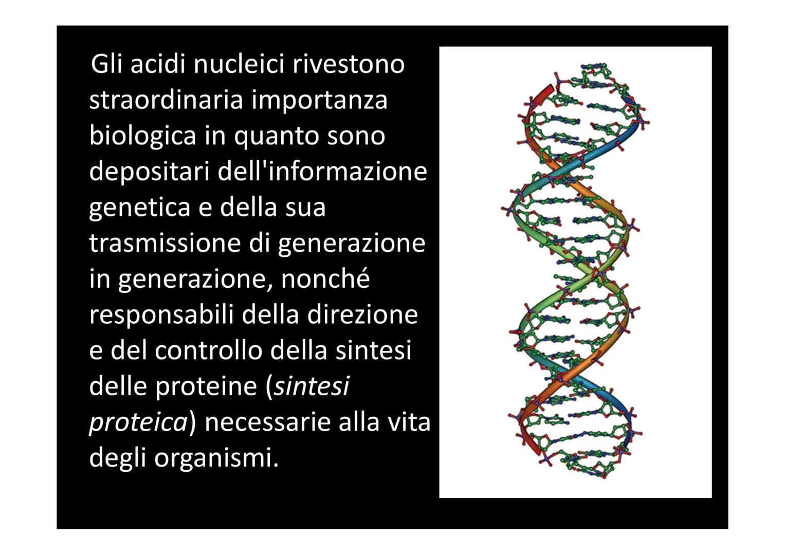 IL DNA
e
IL LINGUAGGIO DELLA VITA
H-C
V
aderne
N
deoxyribose
quanine O
The CO₂H
La biologia moderna ha avuto origine con la
scoperta della s
